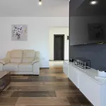 Modern Maeni With Private Pool In Villa Pula